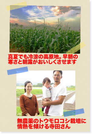 PƂ낱ʔ